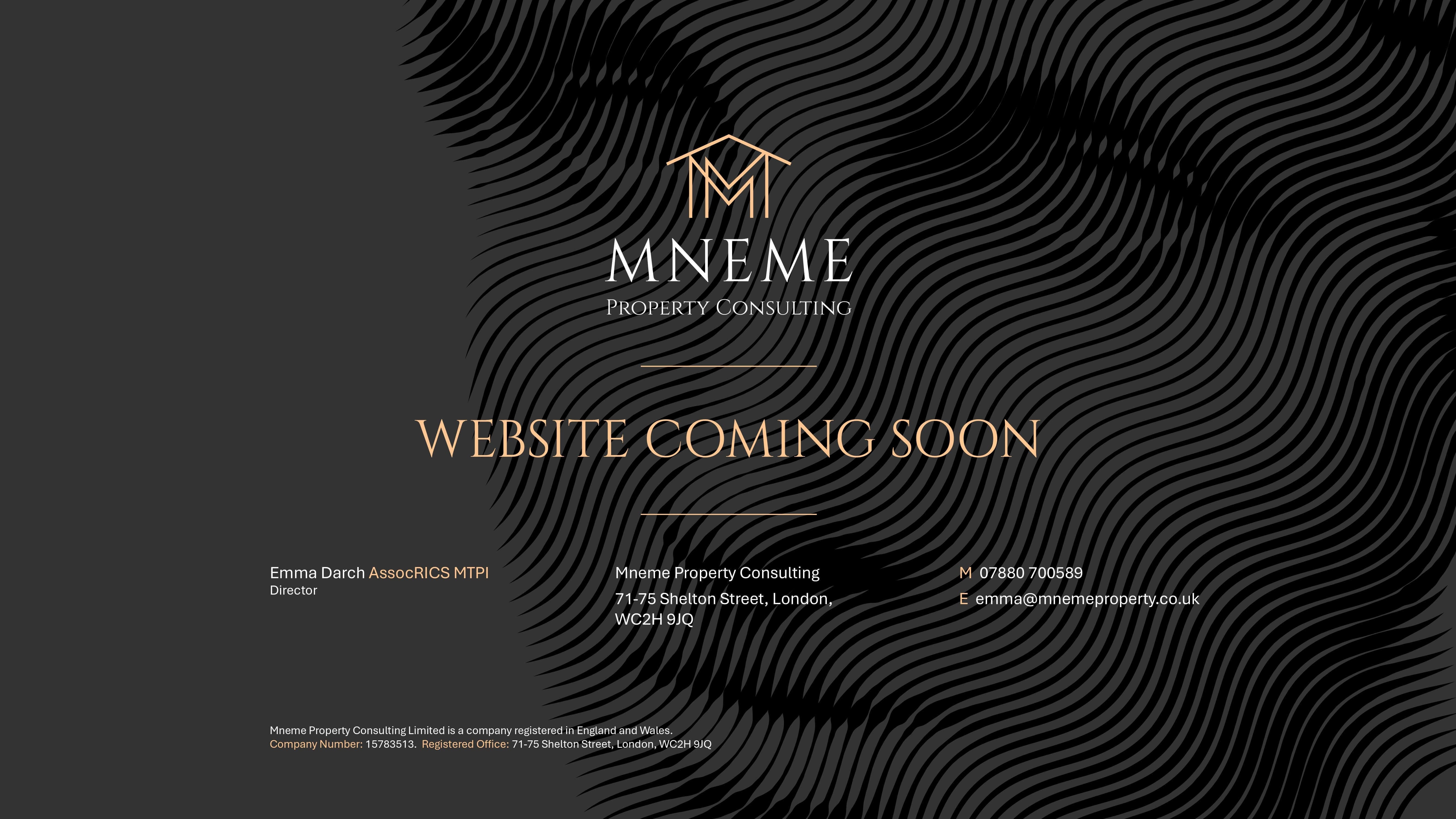 MNene Property Consulting